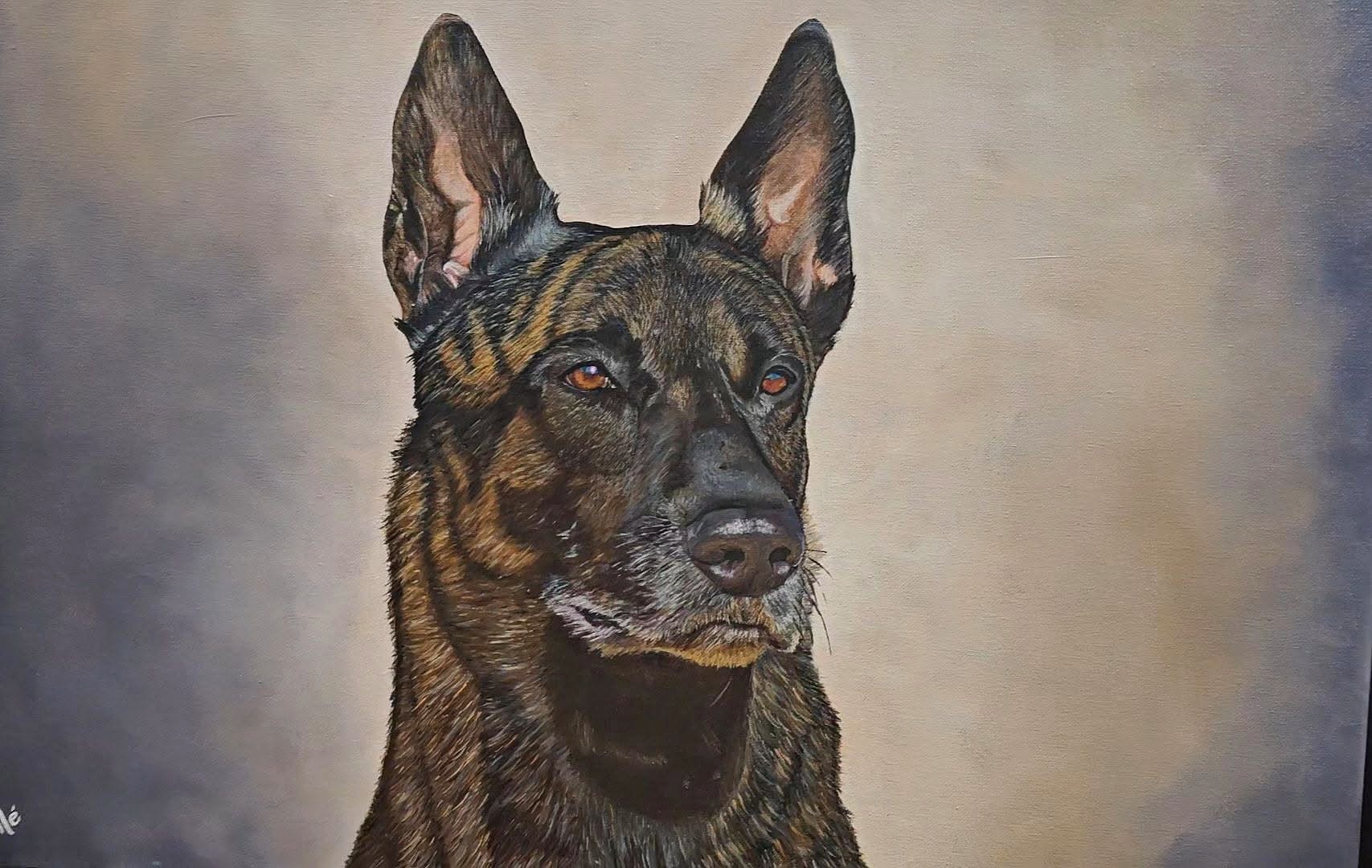 Dutch Shepherd, oil painting by Marilé Sadler